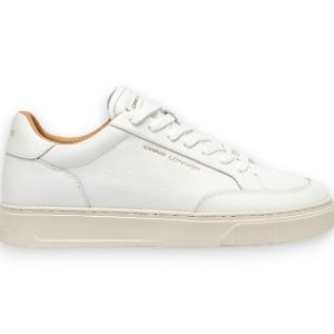 Screenshot 2026 02 19 191316