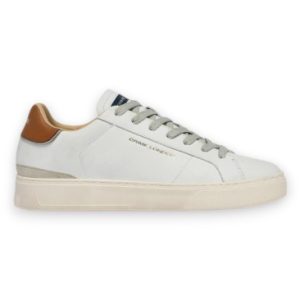 Screenshot 2026 03 07 103542