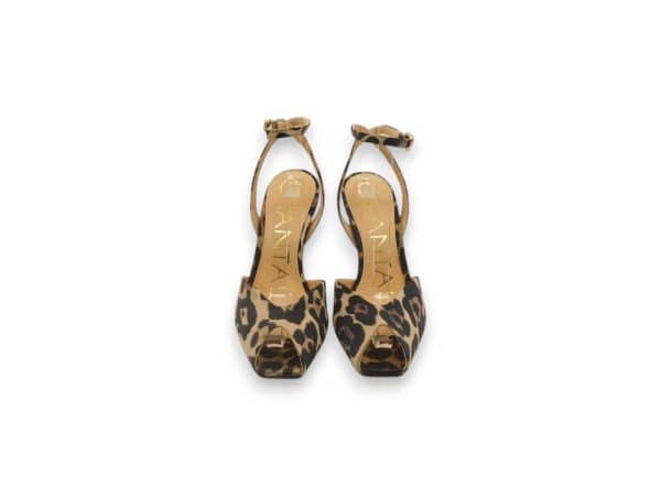 Chantal Donna Chanel Maculato 3112 2