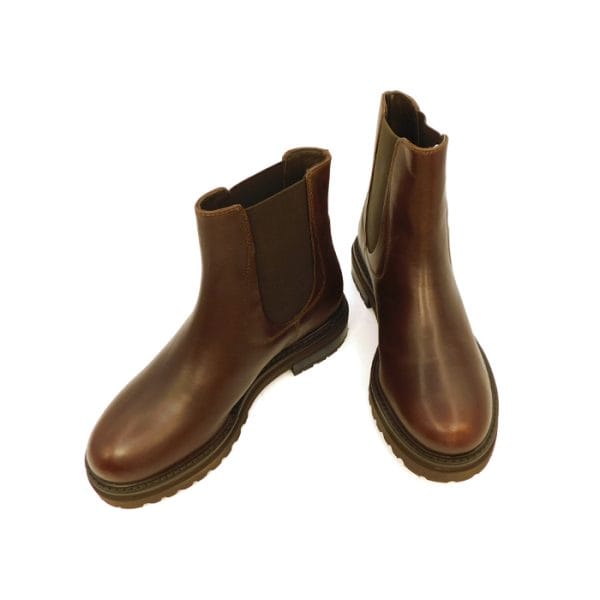 Janet Donna Beatles Marrone 472 2