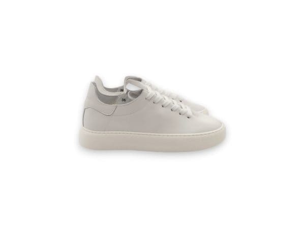 Stokton Donna Sneaker Bassasfoderata Bianca 752 1