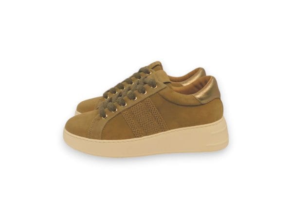 Stokton Donna Sneaker Tortora 245 1