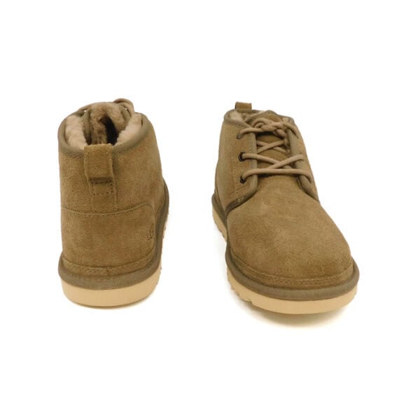 Ugg Uomo Altalacci Tortora 3236 2